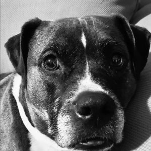 Meet your Posher, Annette